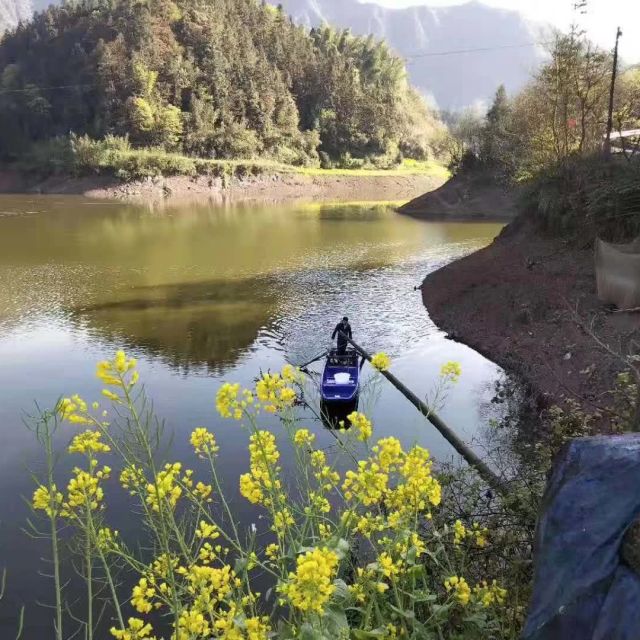 泸州高山冷水鱼-